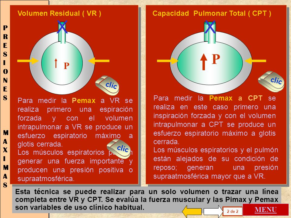 X X P P Volumen Residual ( VR ) Capacidad Pulmonar Total ( CPT )