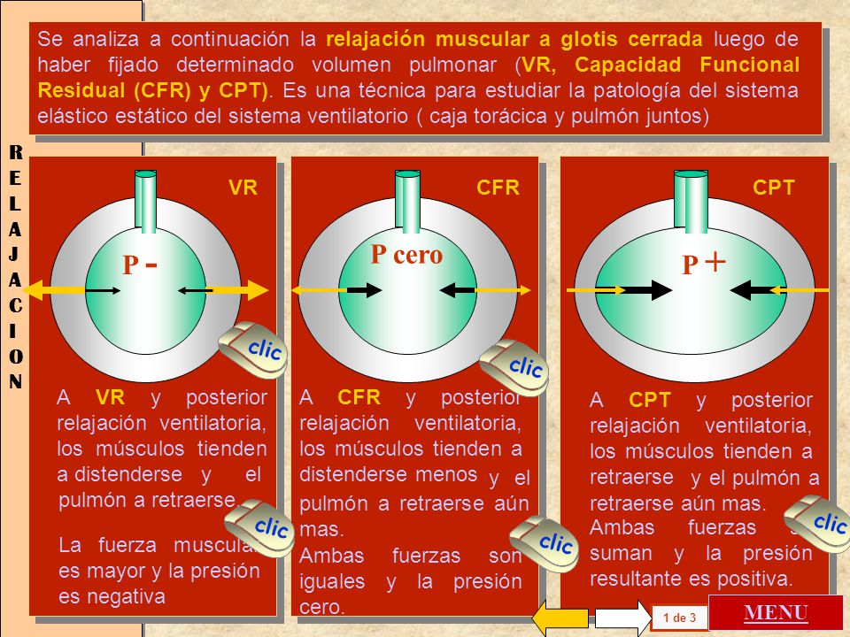 Se analiza a continuación la relajación muscular a glotis cerrada luego de haber fijado determinado volumen pulmonar (VR, Capacidad Funcional Residual (CFR) y CPT). Es una técnica para estudiar la patología del sistema elástico estático del sistema ventilatorio ( caja torácica y pulmón juntos)