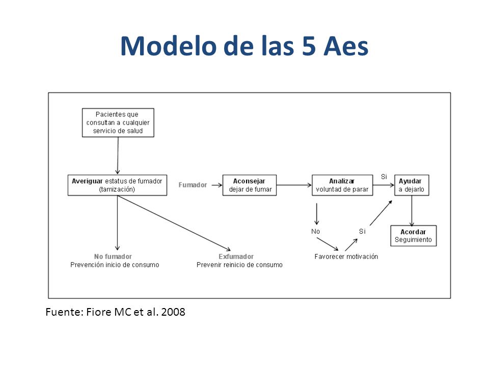 Modelo de las 5 Aes Fuente: Fiore MC et al. 2008