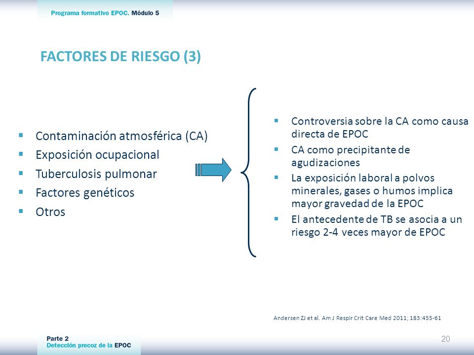 FACTORES DE RIESGO (3) Contaminación atmosférica (CA)