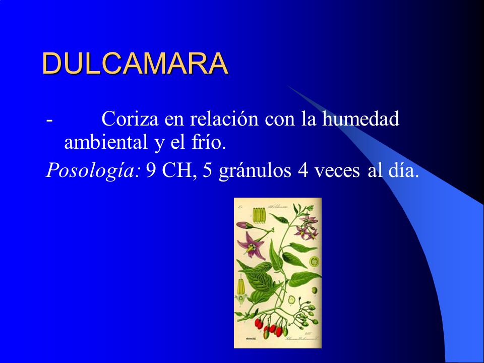 DULCAMARA - Coriza en relación con la humedad ambiental y el frío.