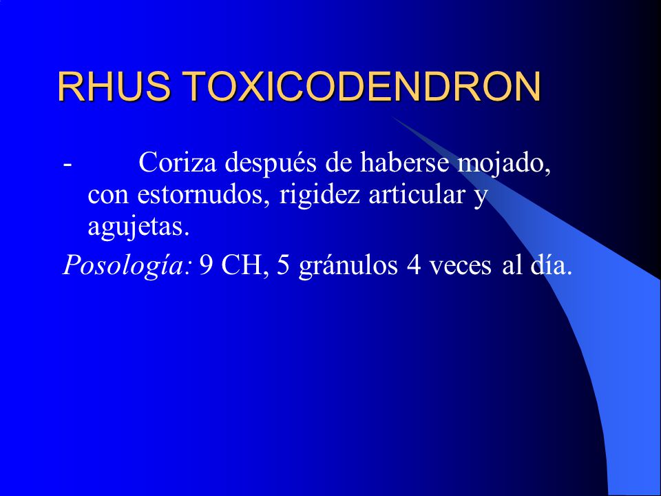 RHUS TOXICODENDRON - Coriza después de haberse mojado, con estornudos, rigidez articular y agujetas.