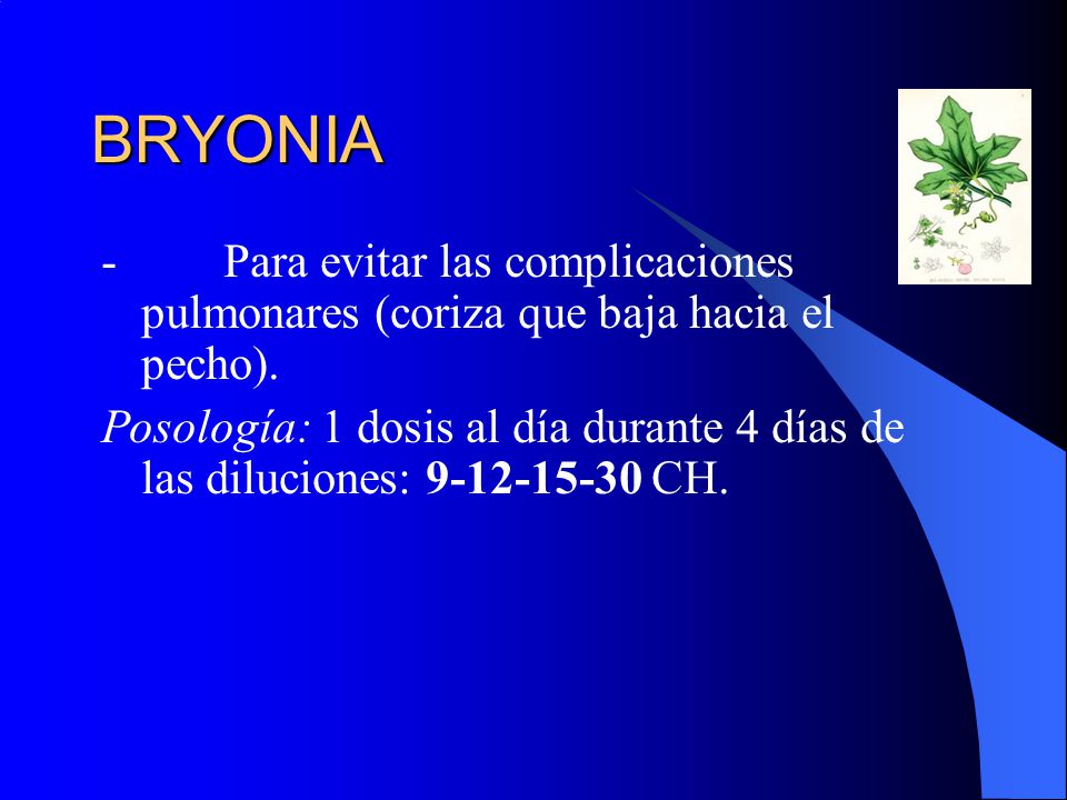 BRYONIA - Para evitar las complicaciones pulmonares (coriza que baja hacia el pecho).