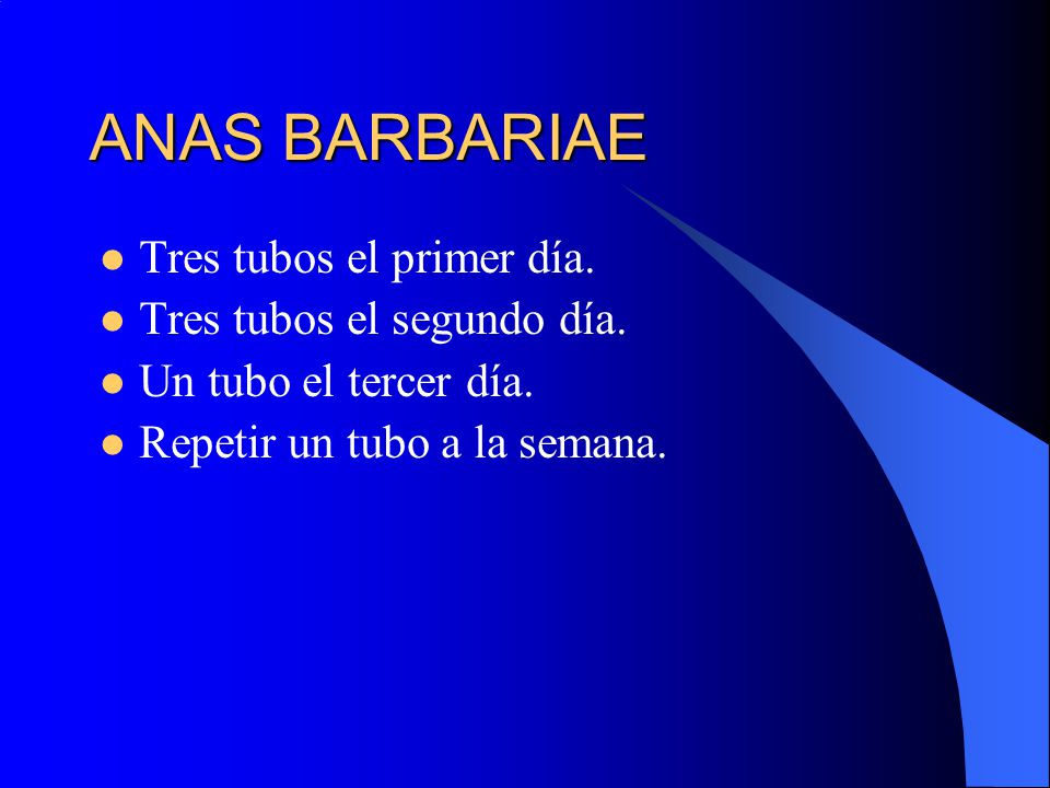 ANAS BARBARIAE Tres tubos el primer día. Tres tubos el segundo día.