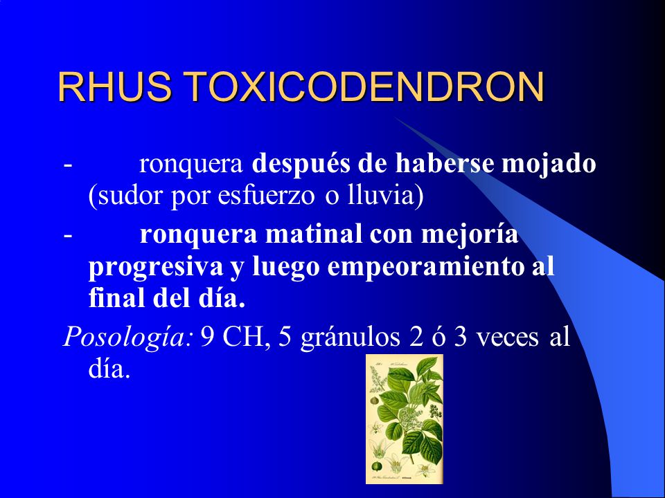 RHUS TOXICODENDRON - ronquera después de haberse mojado (sudor por esfuerzo o lluvia)