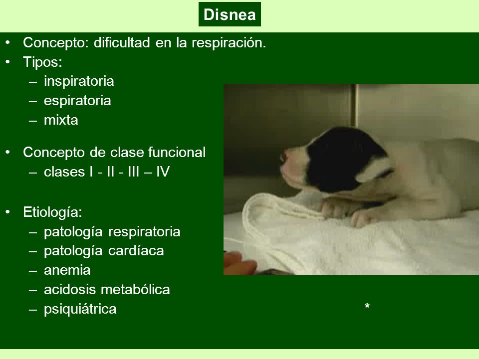 Disnea Concepto: dificultad en la respiración. Tipos: inspiratoria