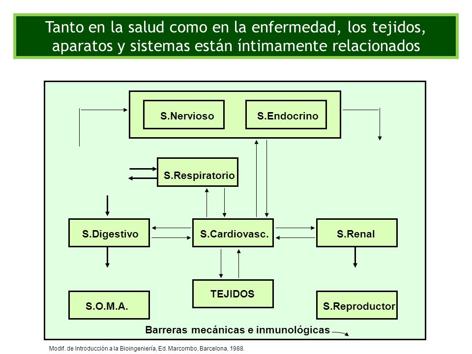Tanto en la salud como en la enfermedad, los tejidos, aparatos y sistemas están íntimamente relacionados
