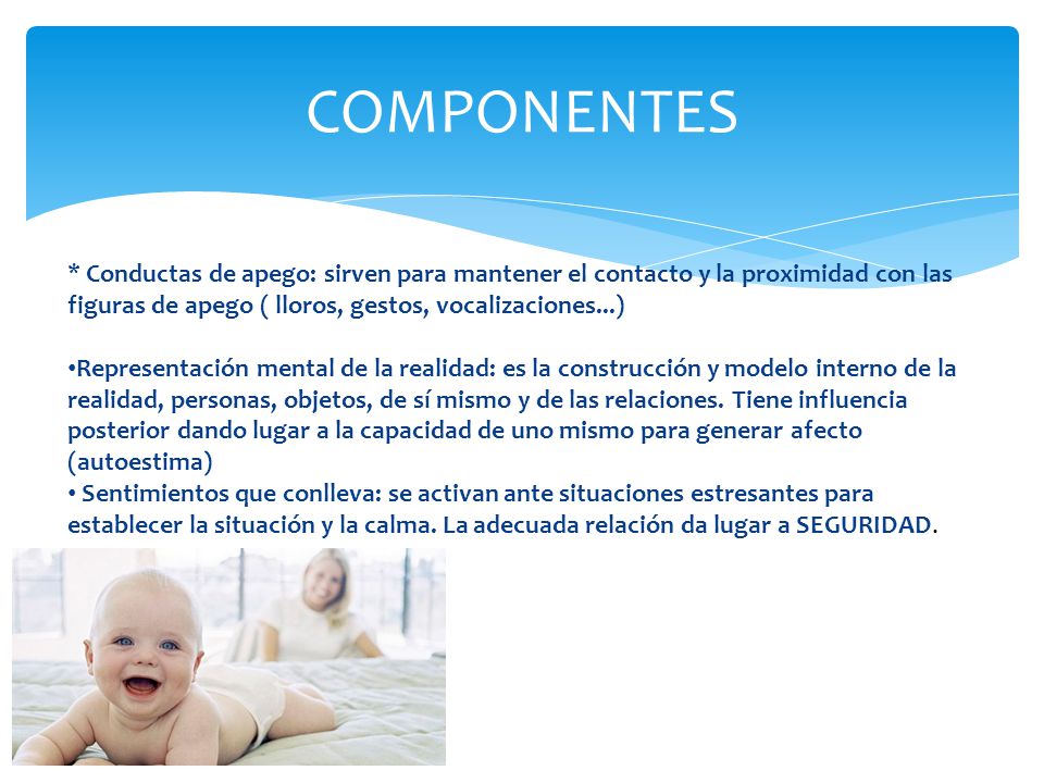 COMPONENTES * Conductas de apego: sirven para mantener el contacto y la proximidad con las figuras de apego ( lloros, gestos, vocalizaciones...)