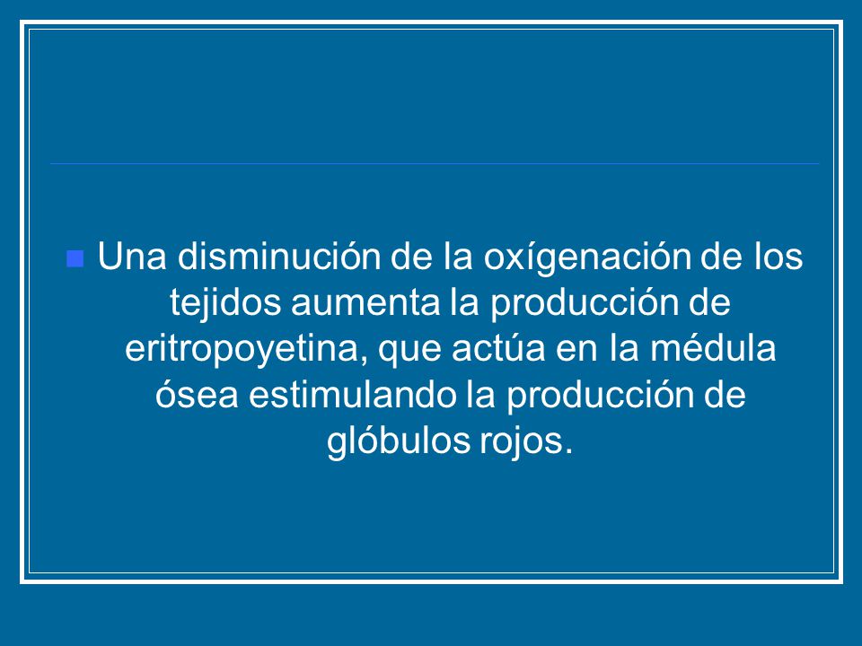 Una disminución de la oxígenación de los tejidos aumenta la producción de eritropoyetina, que actúa en la médula ósea estimulando la producción de glóbulos rojos.