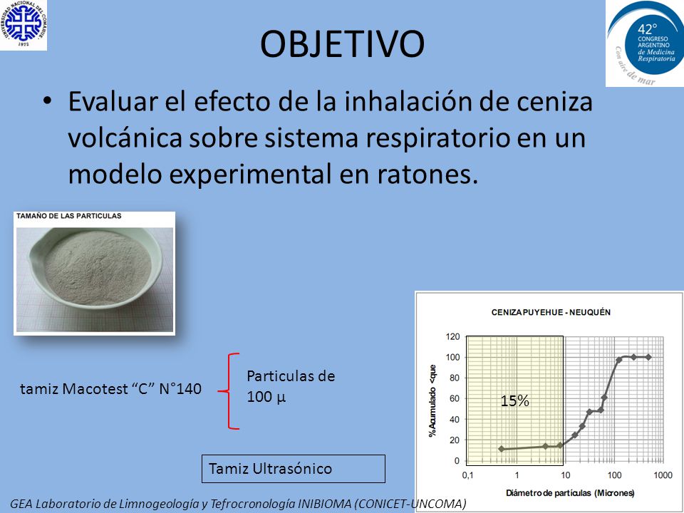 OBJETIVO Evaluar el efecto de la inhalación de ceniza volcánica sobre sistema respiratorio en un modelo experimental en ratones.