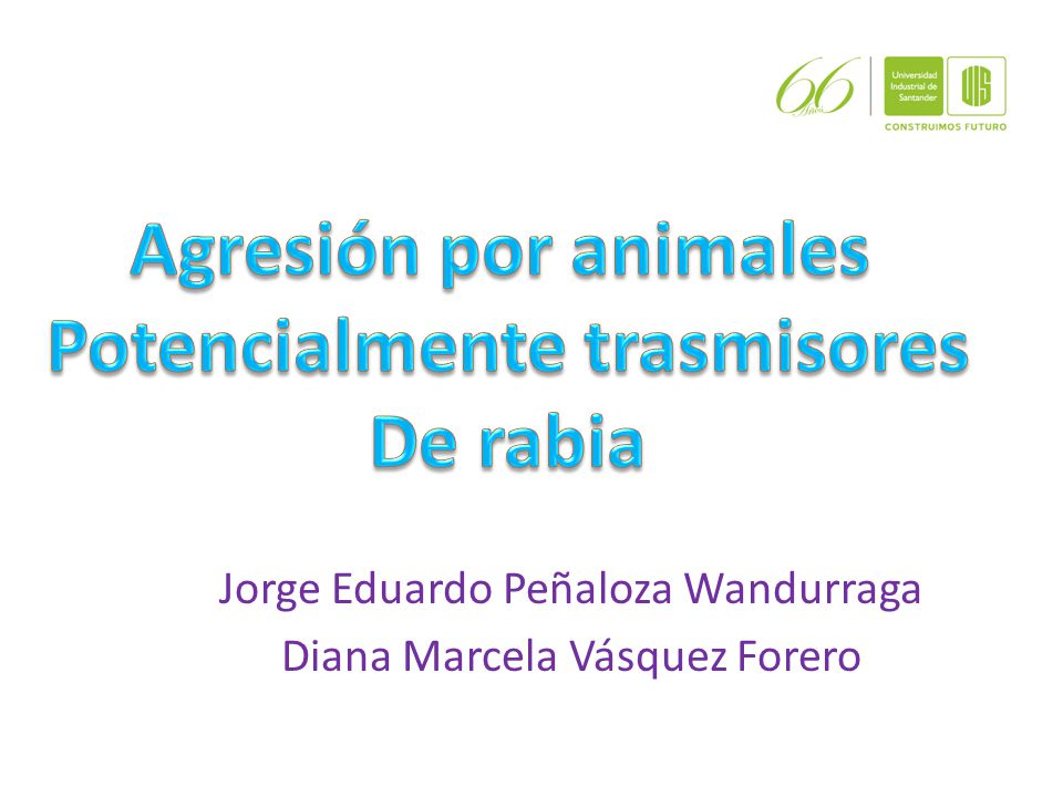 Jorge Eduardo Peñaloza Wandurraga Diana Marcela Vásquez Forero