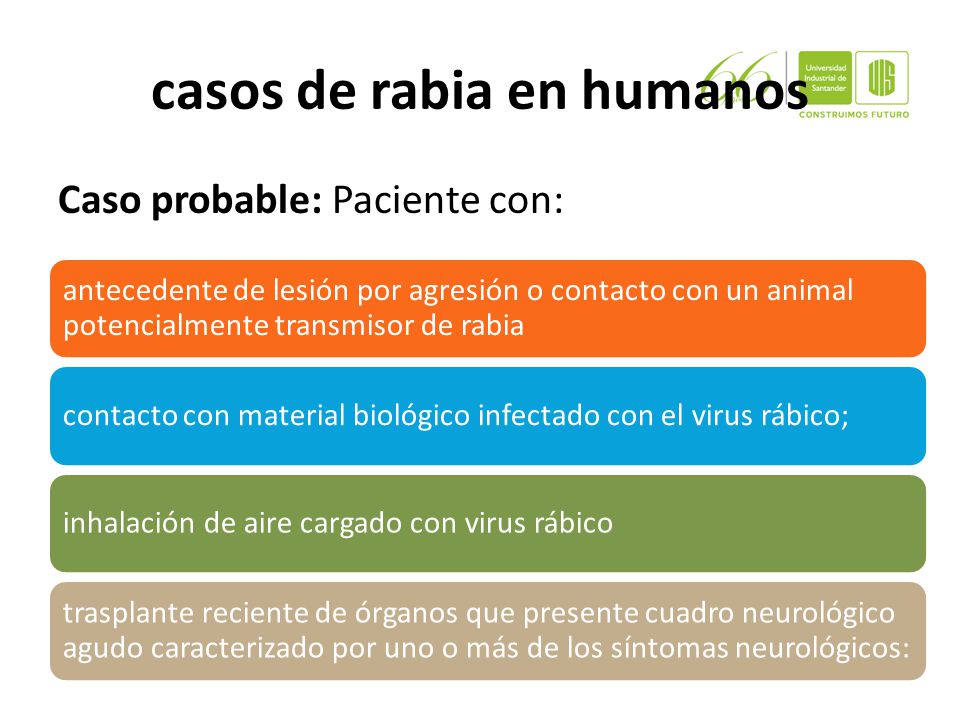 casos de rabia en humanos