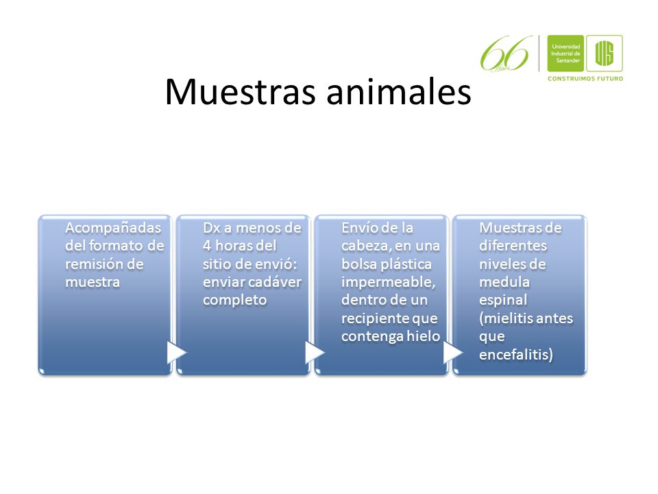 Muestras animales Acompañadas del formato de remisión de muestra