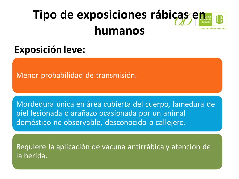 Tipo de exposiciones rábicas en humanos