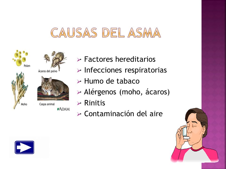 CAUSAS del asma · Factores hereditarios · Infecciones respiratorias
