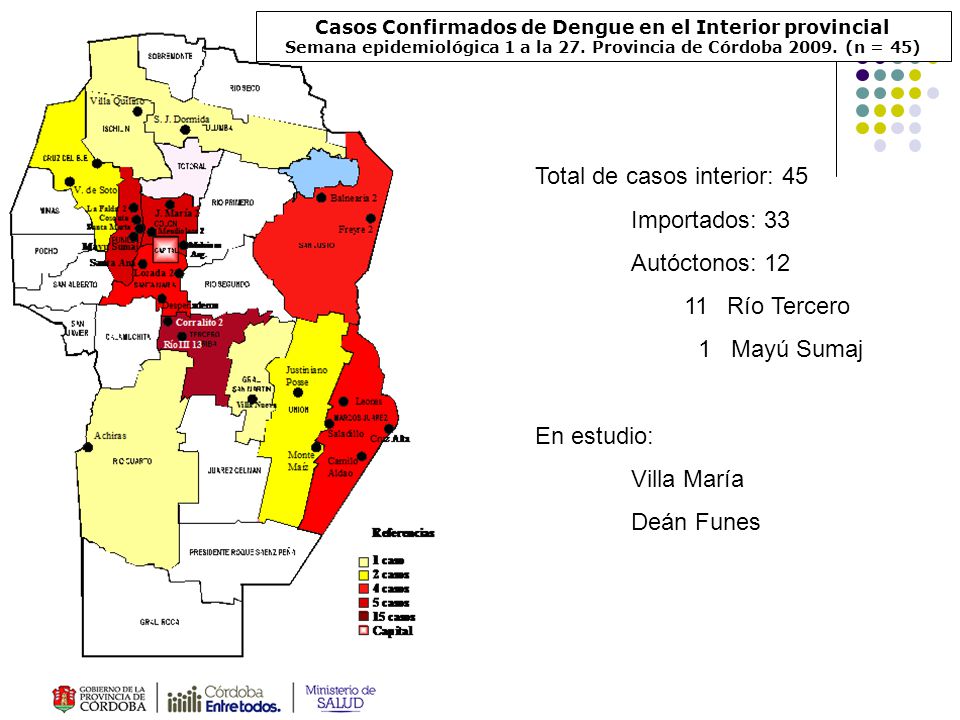 Total de casos interior: 45 Importados: 33 Autóctonos: 12
