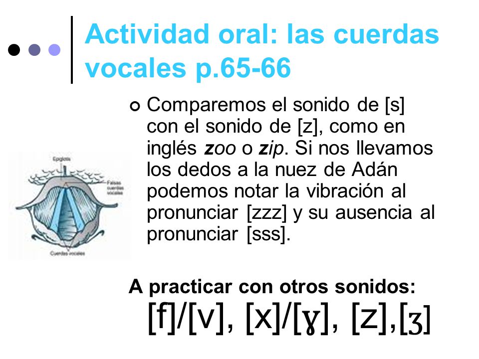 Actividad oral: las cuerdas vocales p.65-66