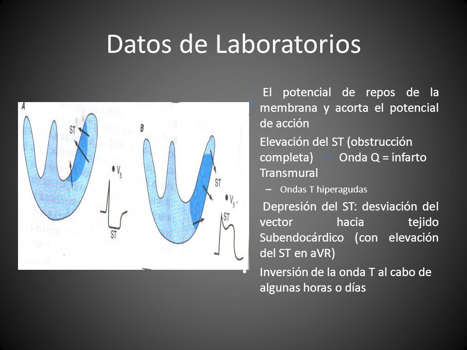 Datos de Laboratorios El potencial de repos de la membrana y acorta el potencial de acción.