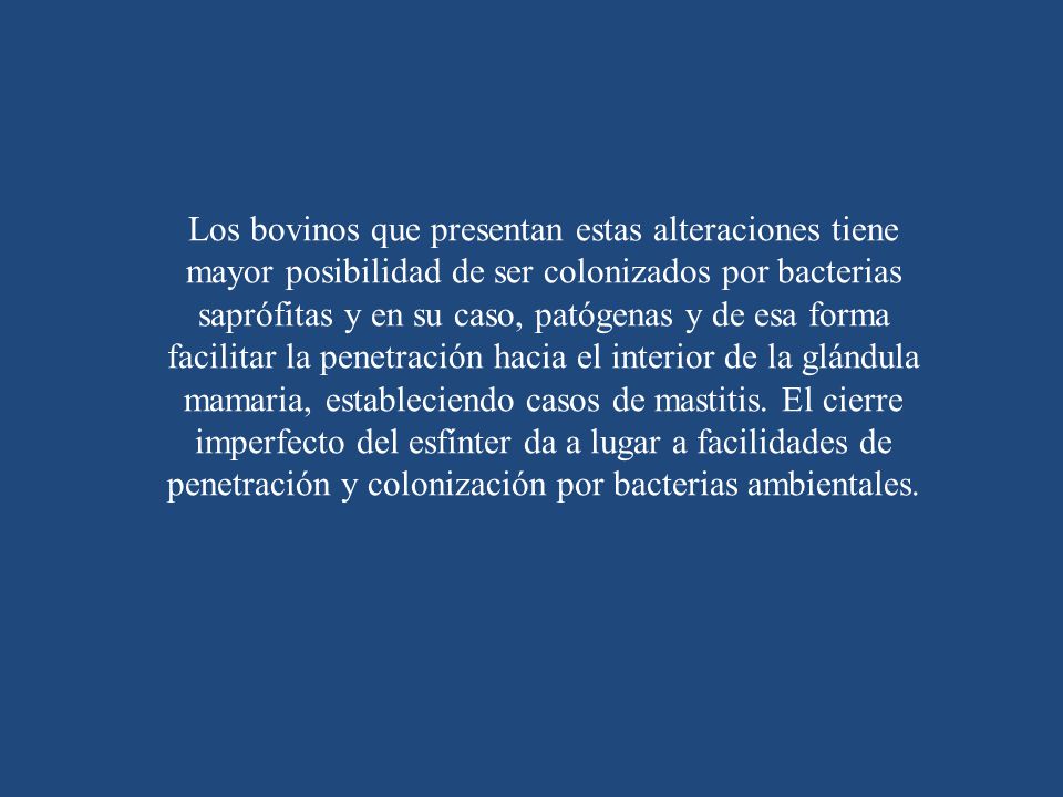 Los bovinos que presentan estas alteraciones tiene mayor posibilidad de ser colonizados por bacterias saprófitas y en su caso, patógenas y de esa forma facilitar la penetración hacia el interior de la glándula mamaria, estableciendo casos de mastitis.