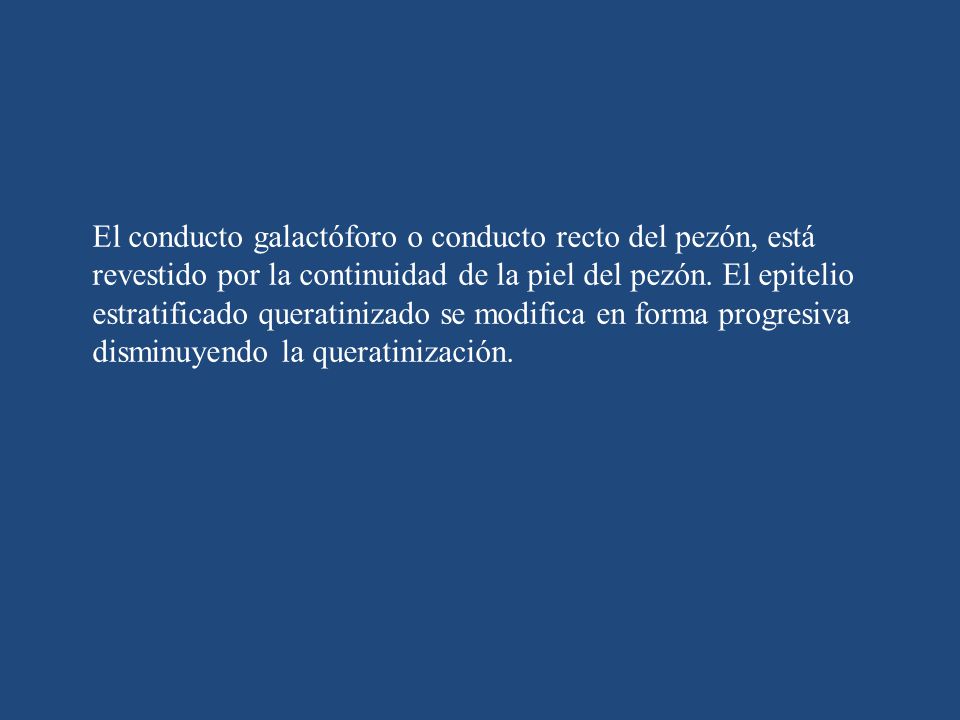 El conducto galactóforo o conducto recto del pezón, está revestido por la continuidad de la piel del pezón.