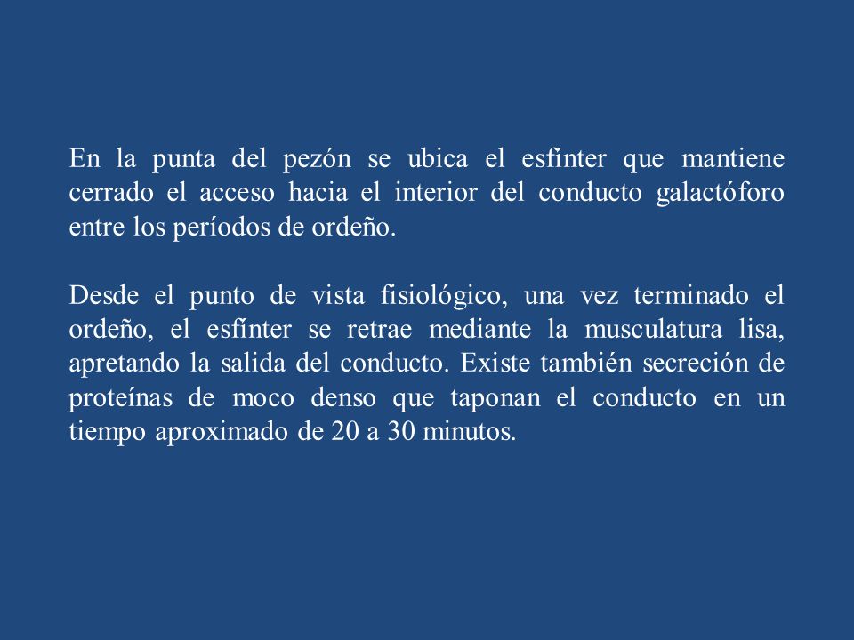 En la punta del pezón se ubica el esfínter que mantiene cerrado el acceso hacia el interior del conducto galactóforo entre los períodos de ordeño.