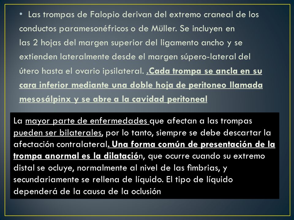 Las trompas de Falopio derivan del extremo craneal de los