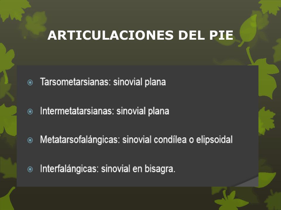 ARTICULACIONES DEL PIE
