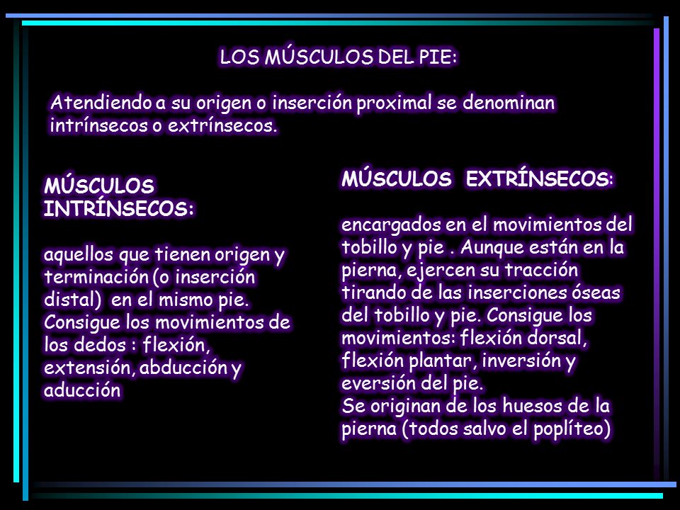 LOS MÚSCULOS DEL PIE: Atendiendo a su origen o inserción proximal se denominan intrínsecos o extrínsecos.