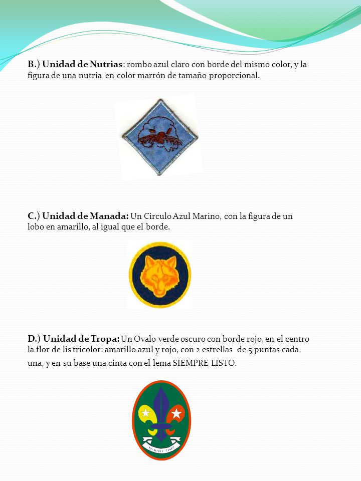 B.) Unidad de Nutrias: rombo azul claro con borde del mismo color, y la figura de una nutria en color marrón de tamaño proporcional.