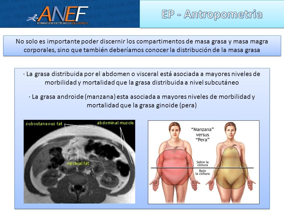 EP - Antropometria