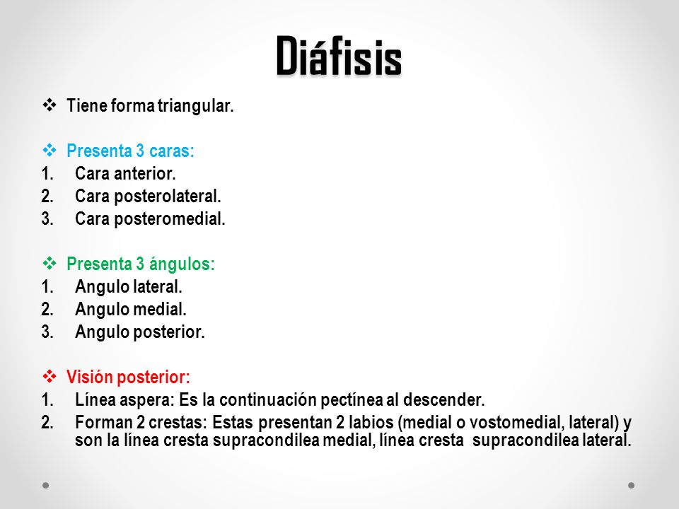 Diáfisis Tiene forma triangular. Presenta 3 caras: Cara anterior.