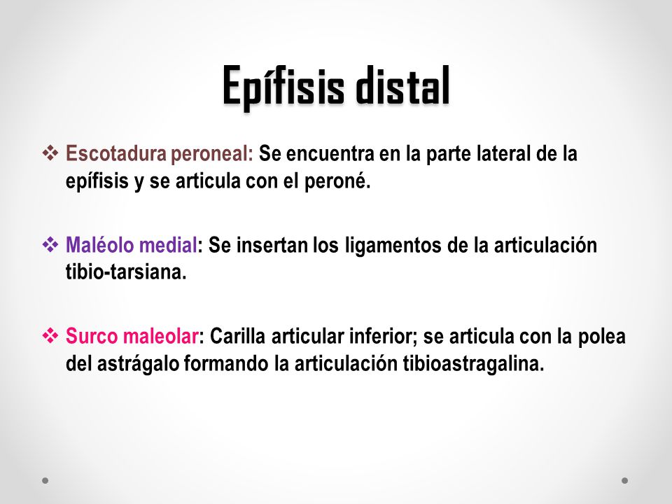 Epífisis distal Escotadura peroneal: Se encuentra en la parte lateral de la epífisis y se articula con el peroné.