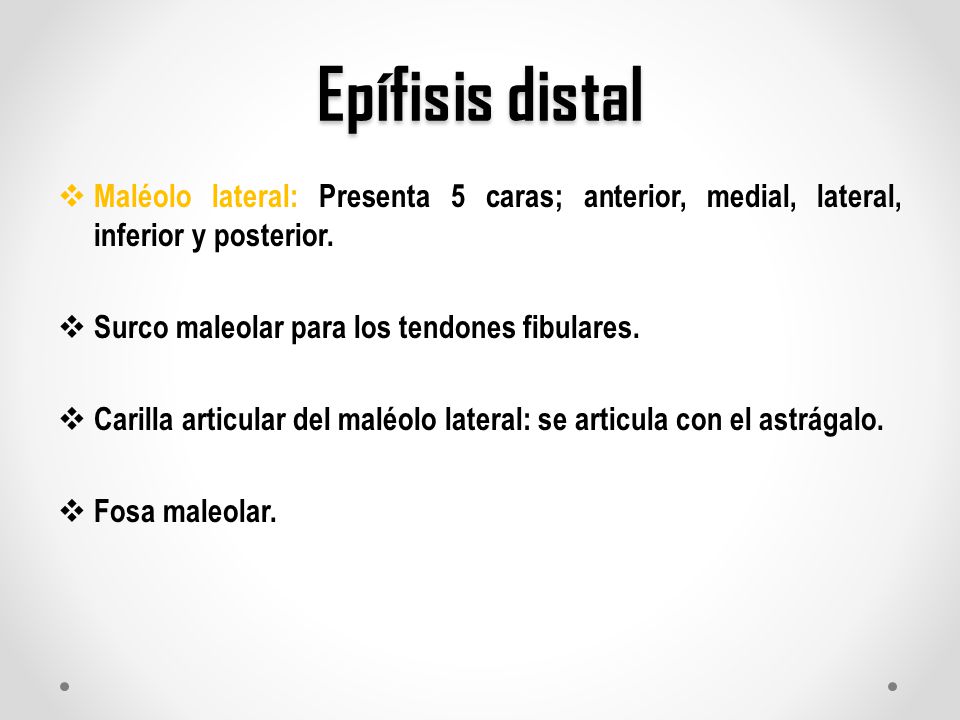 Epífisis distal Maléolo lateral: Presenta 5 caras; anterior, medial, lateral, inferior y posterior.