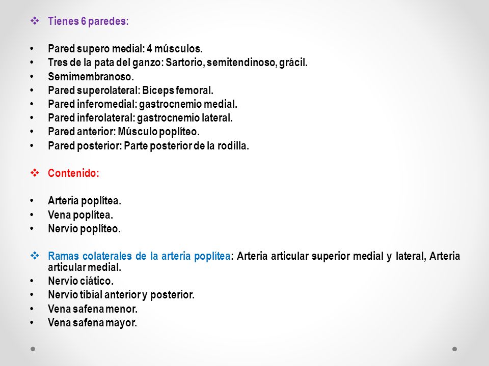 Tienes 6 paredes: Pared supero medial: 4 músculos. Tres de la pata del ganzo: Sartorio, semitendinoso, grácil.
