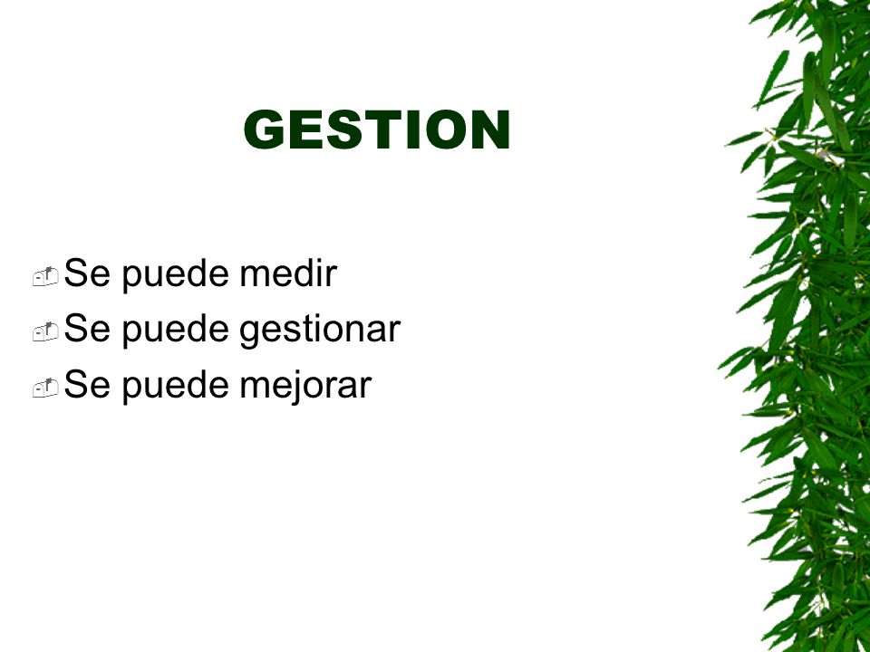 GESTION Se puede medir Se puede gestionar Se puede mejorar