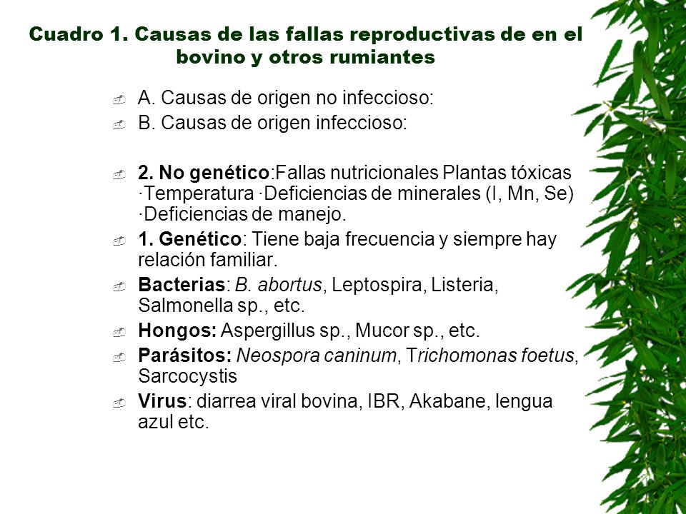 Cuadro 1. Causas de las fallas reproductivas de en el bovino y otros rumiantes