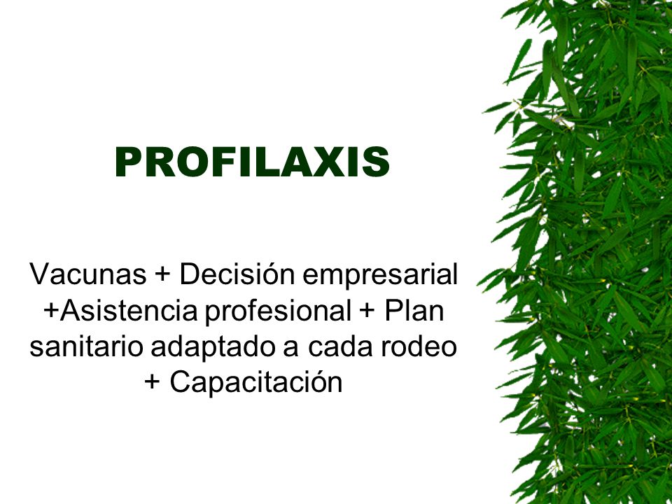 PROFILAXIS Vacunas + Decisión empresarial +Asistencia profesional + Plan sanitario adaptado a cada rodeo + Capacitación.