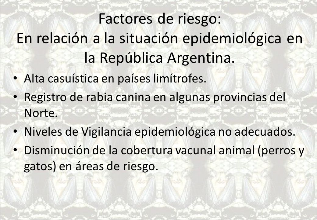 Factores de riesgo: En relación a la situación epidemiológica en la República Argentina.