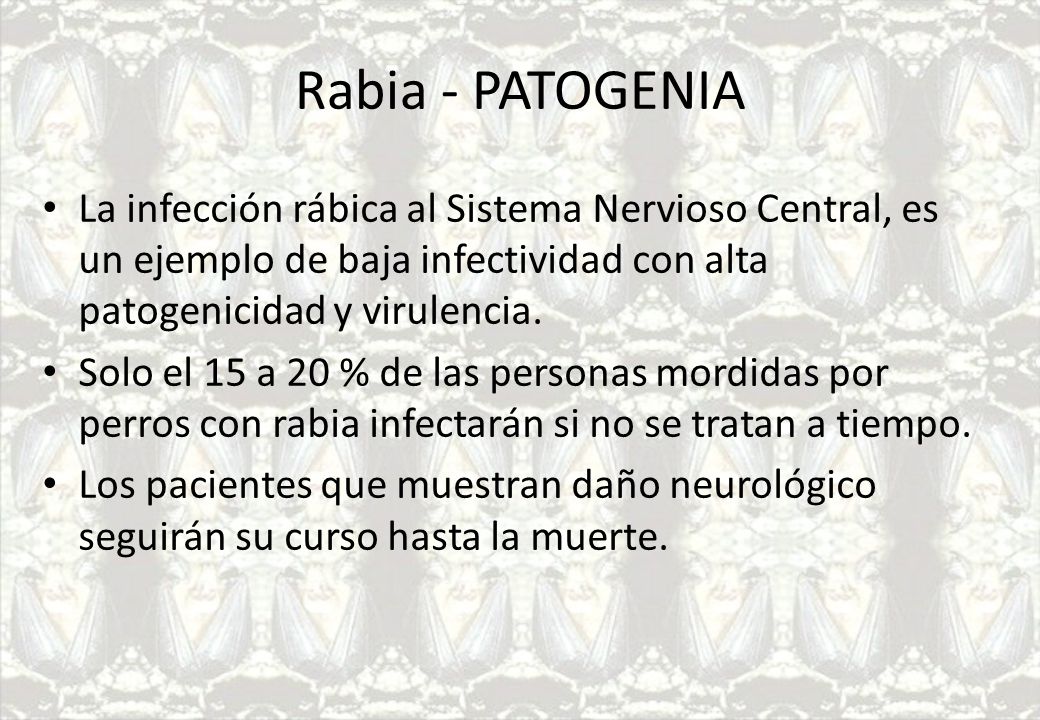 Rabia - PATOGENIA La infección rábica al Sistema Nervioso Central, es un ejemplo de baja infectividad con alta patogenicidad y virulencia.