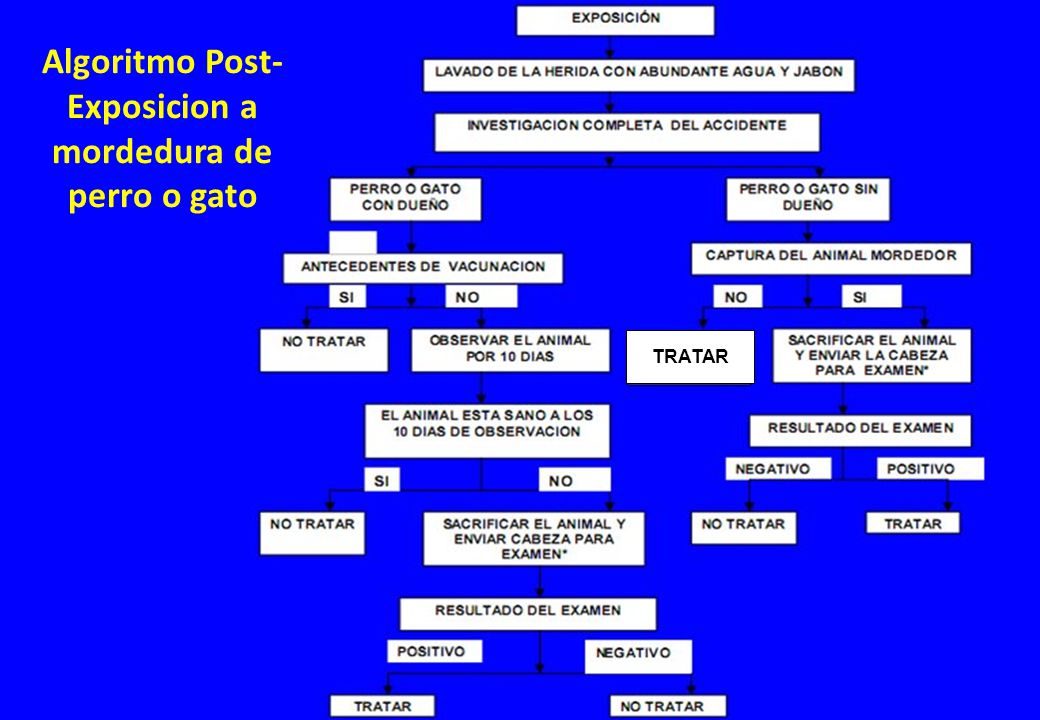 Algoritmo Post-Exposicion a mordedura de perro o gato