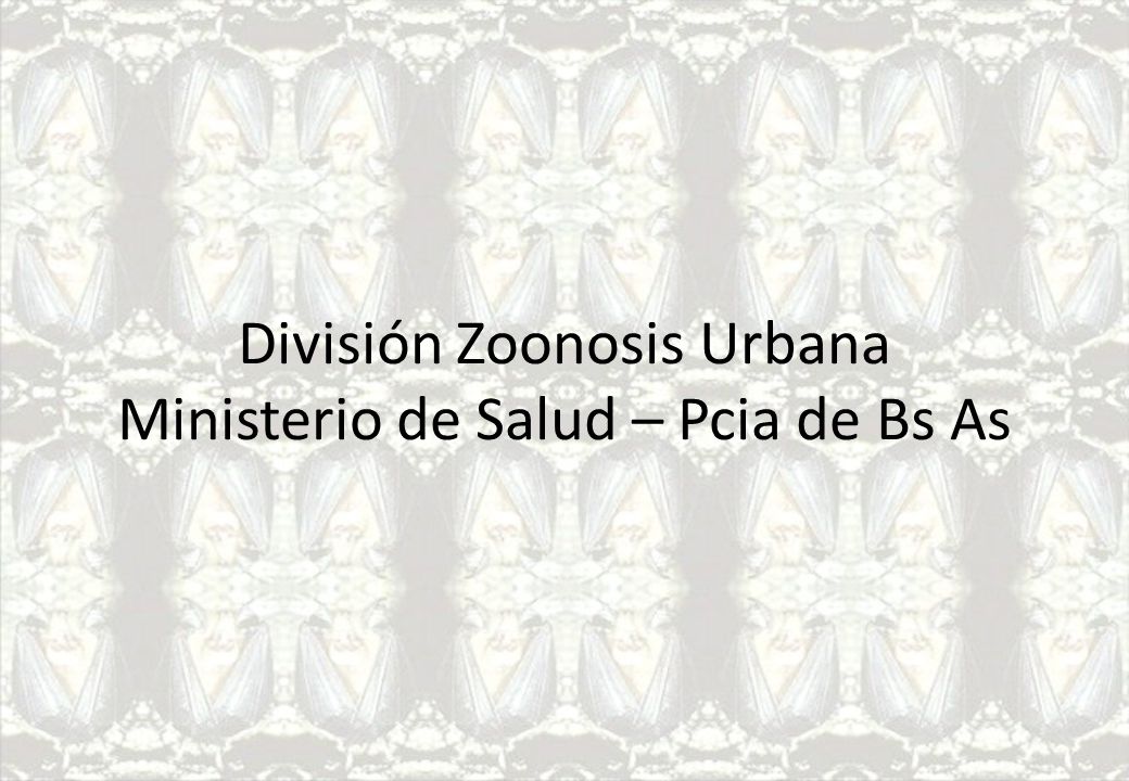 División Zoonosis Urbana Ministerio de Salud – Pcia de Bs As