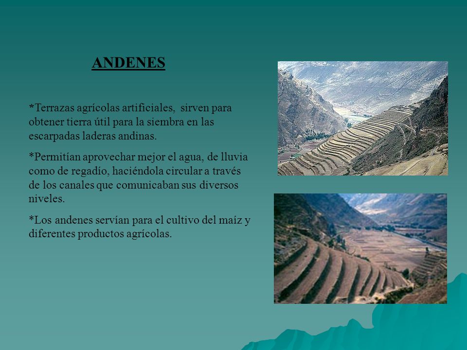 ANDENES *Terrazas agrícolas artificiales, sirven para obtener tierra útil para la siembra en las escarpadas laderas andinas.