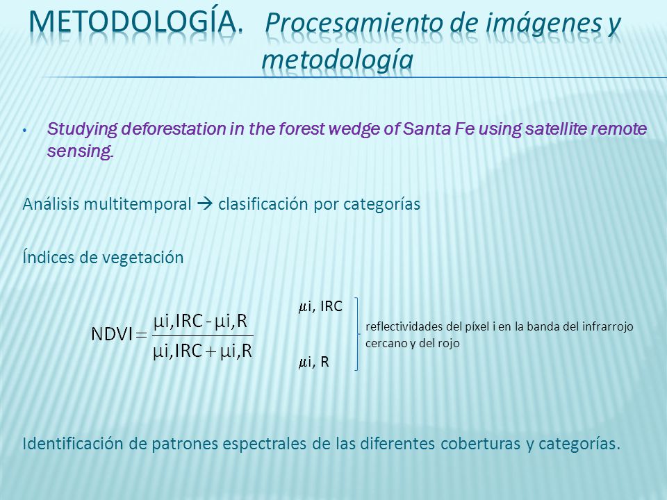 Metodología. Procesamiento de imágenes y metodología