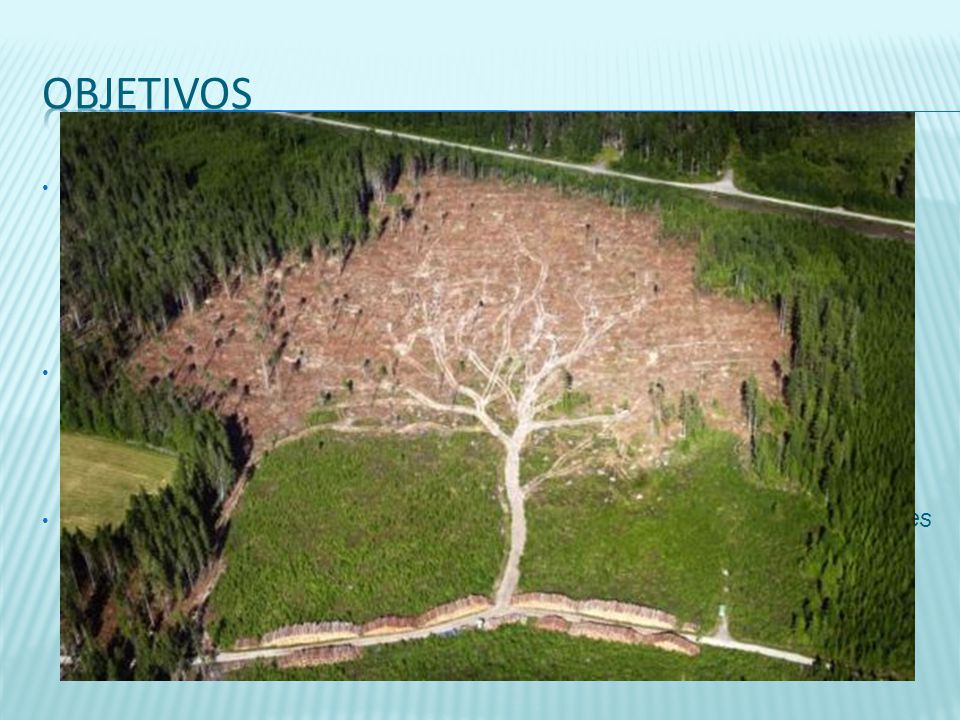 OBJETIVOS El Sistema Global de Observación Terrestre (GTOS), ha identificado en su Plan de Implementación 13 Variables Climáticas Esenciales.