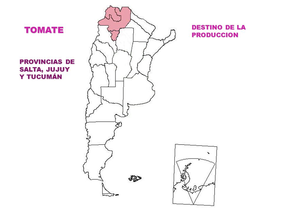 TOMATE DESTINO DE LA PRODUCCION PROVINCIAS DE SALTA, JUJUY Y TUCUMÁN