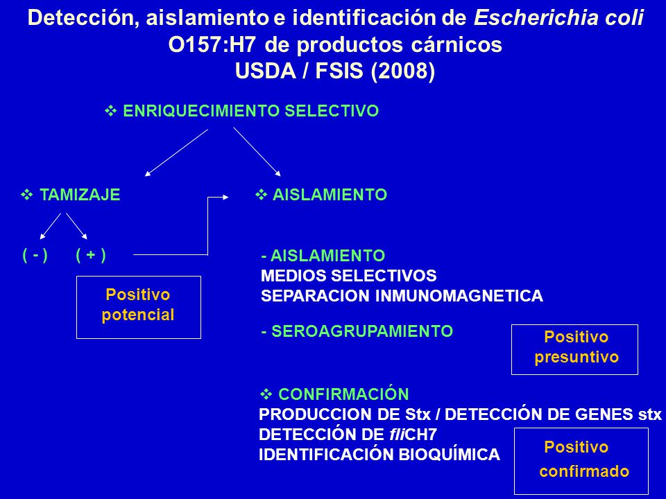 Detección, aislamiento e identificación de Escherichia coli O157:H7 de productos cárnicos USDA / FSIS (2008)
