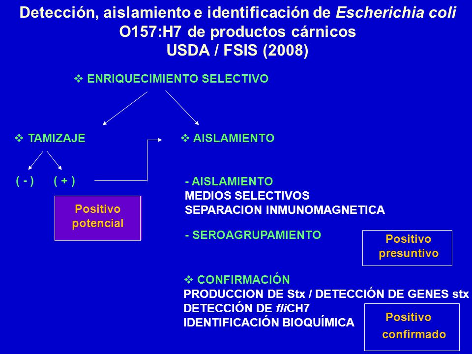 Detección, aislamiento e identificación de Escherichia coli O157:H7 de productos cárnicos USDA / FSIS (2008)