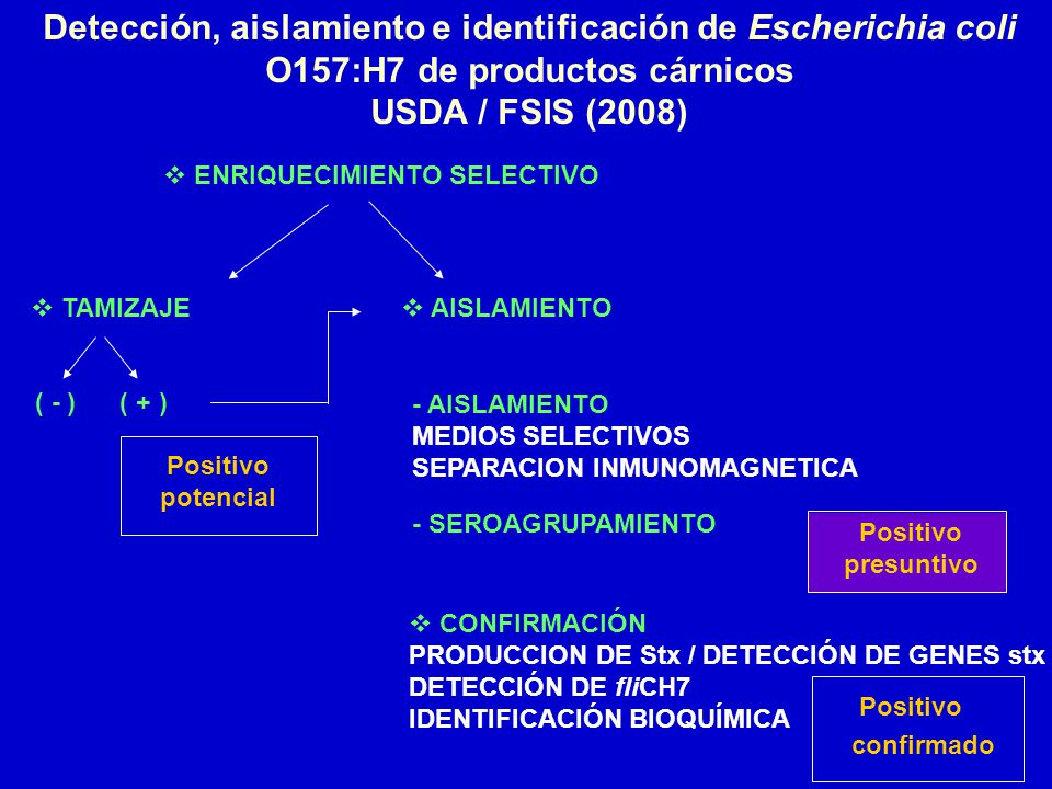 Detección, aislamiento e identificación de Escherichia coli O157:H7 de productos cárnicos USDA / FSIS (2008)