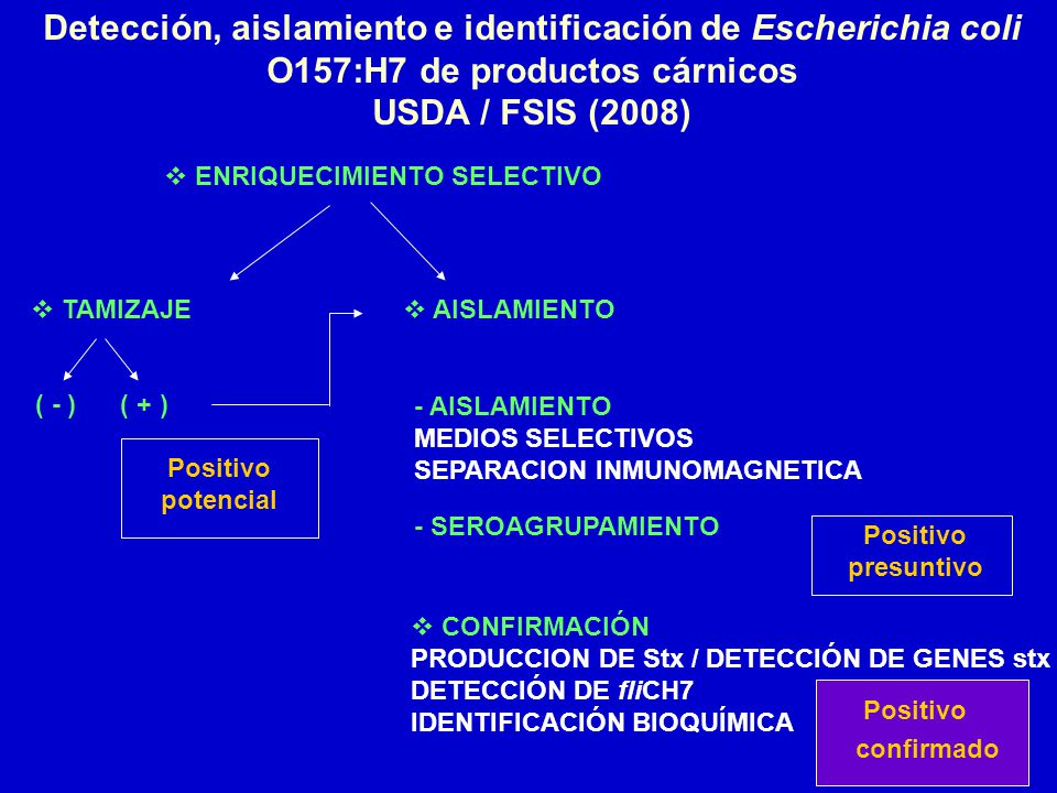 Detección, aislamiento e identificación de Escherichia coli O157:H7 de productos cárnicos USDA / FSIS (2008)