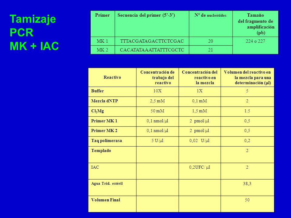 Tamizaje PCR MK + IAC PCR MK para detección de stx Primer